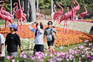 BIB: 
                            <button type="button" onclick="openModal(27793420)" class="btn btn-primary btn-sm float-right btn-popup" data-toggle="modal" data-target=".modal-high-quality">
                        <i class="fas fa-shopping-cart"></i> Add to Cart
                    </button>
                                            <button type="button" onclick="isThisMe(27793420, true)" class="btn btn-success btn-sm float-right btn-popup btn-isme hidden" data-toggle="tooltip" data-placement="bottom" title="นี่คือรูปของคุณใช่ไหม คลิกที่นี่เพื่อเอาเข้าอัลบั้ม">
                        <i class="fas fa-plus"></i> Add to album
                    </button>
                    <button type="button" onclick="isThisMe(27793420, false)" class="btn btn-warning btn-sm float-right btn-popup btn-isnotme hidden">
                        <i class="fas fa-ban"></i> Remove from album
                    </button>